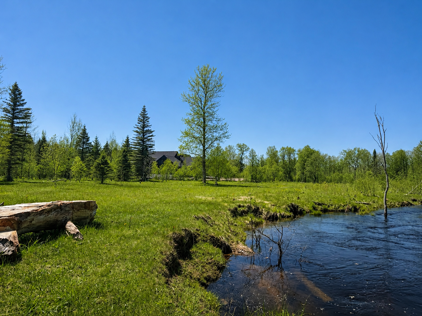 The river curving through the summer meadow, the house beyond the trees