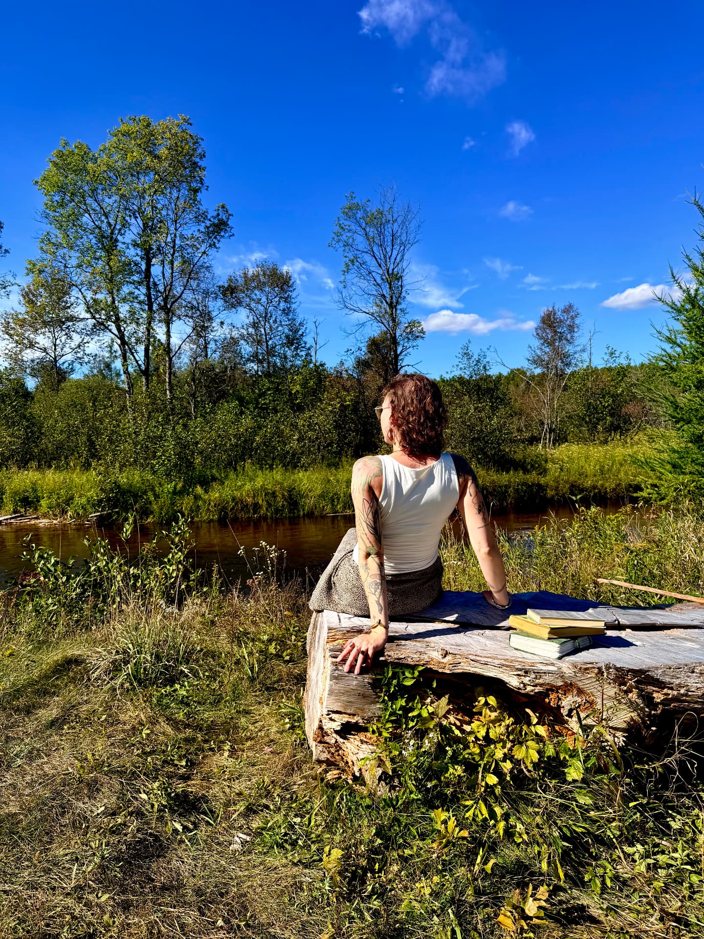 A person sitting on a log beside the Boardman River, looking out at the water and the treeline