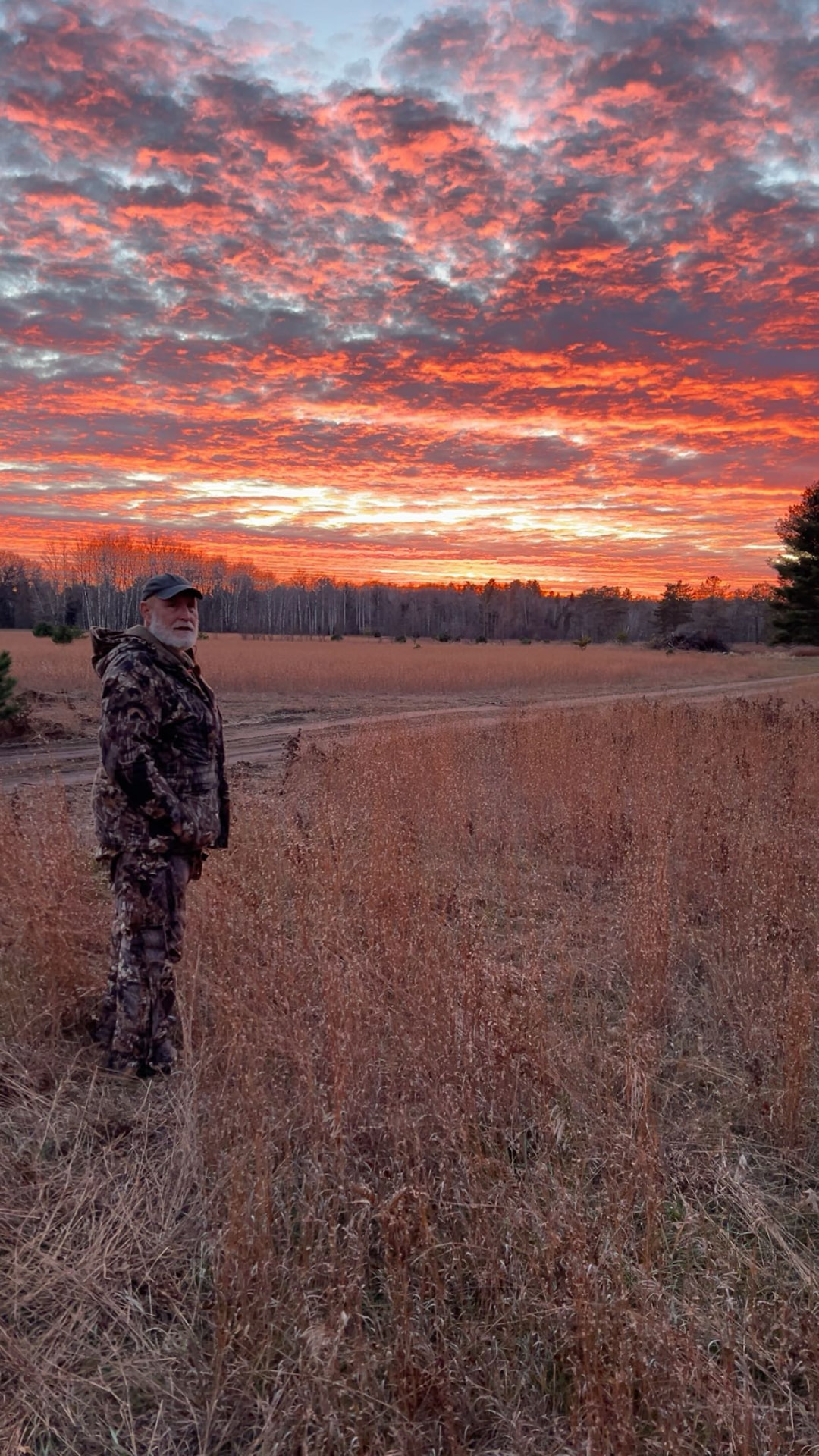 Big D standing in a field at sunset, camouflaged against a fiery sky